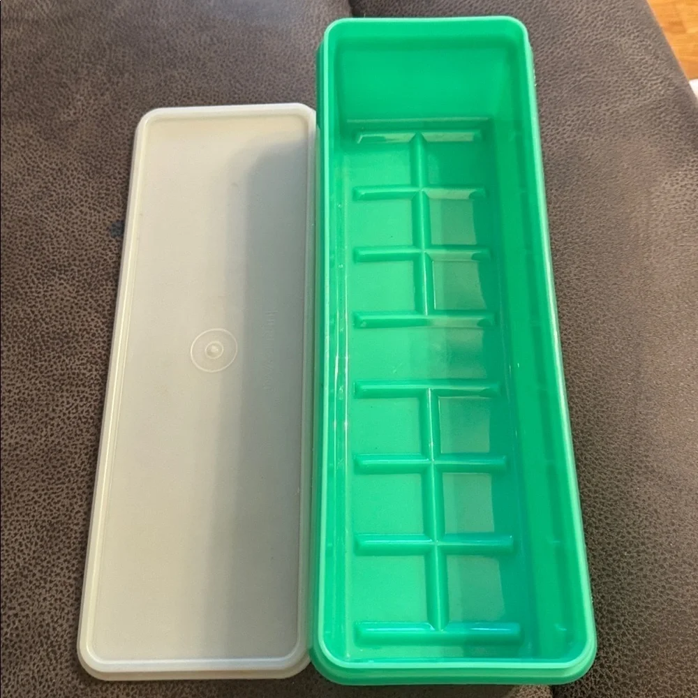 Vintage Tupperware Celery/Veggie Keeper Crisper